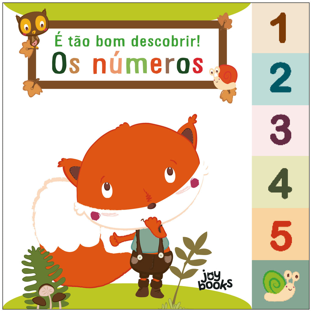 É Tão Bom Descobrir! os Números de Livro