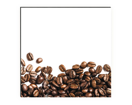 mySpotti Profix Mr. Beans Koffiebonen Keukenachterwand 100 x 60 cm PX-10060-1507-HB
