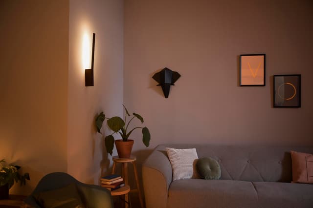 Philips Hue Liane stemningsvæglampe 12W 24V (sort)