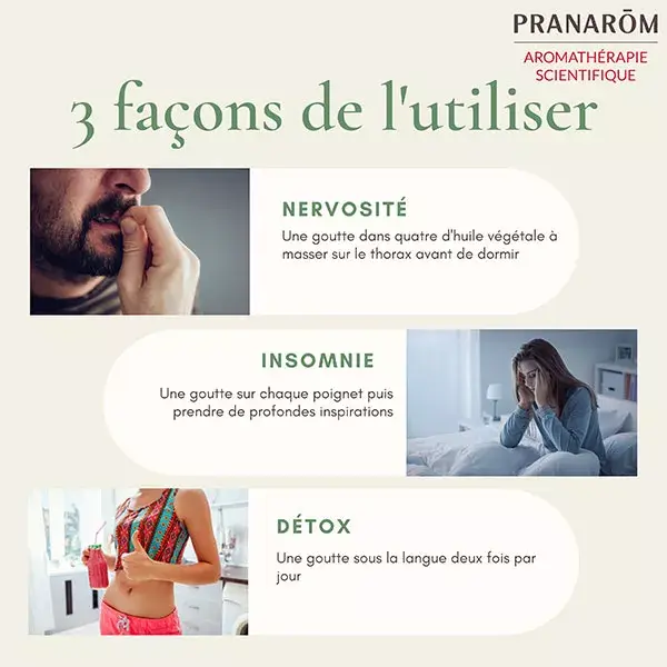 Pranarom Huile Essentielle Bio Lédon du Groenland 5ml