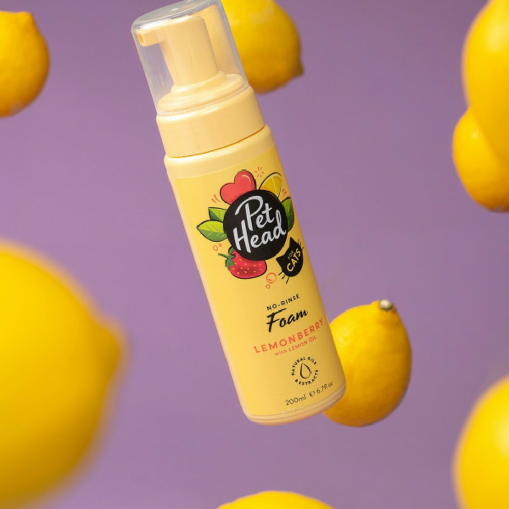 Shampooing sec felin' good mousse chat (200 ml)