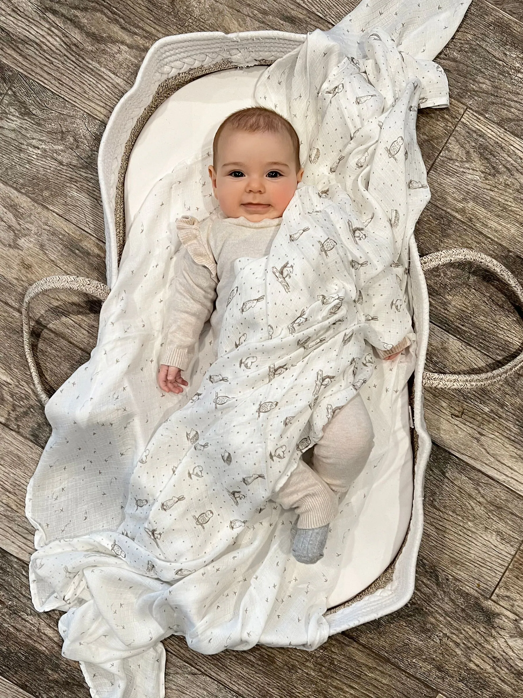 Aden + Anais - Essentials Healing Nature set van 2 zijdezachte mousseline dekentjes