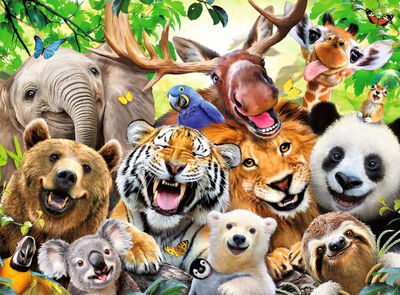 Ravensburger Puslespill Exotic Animals Selfie XXL 300 Brikker