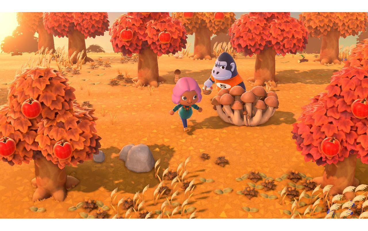 Animal Crossing: New HorizonsAnimal Crossing: New Horizons