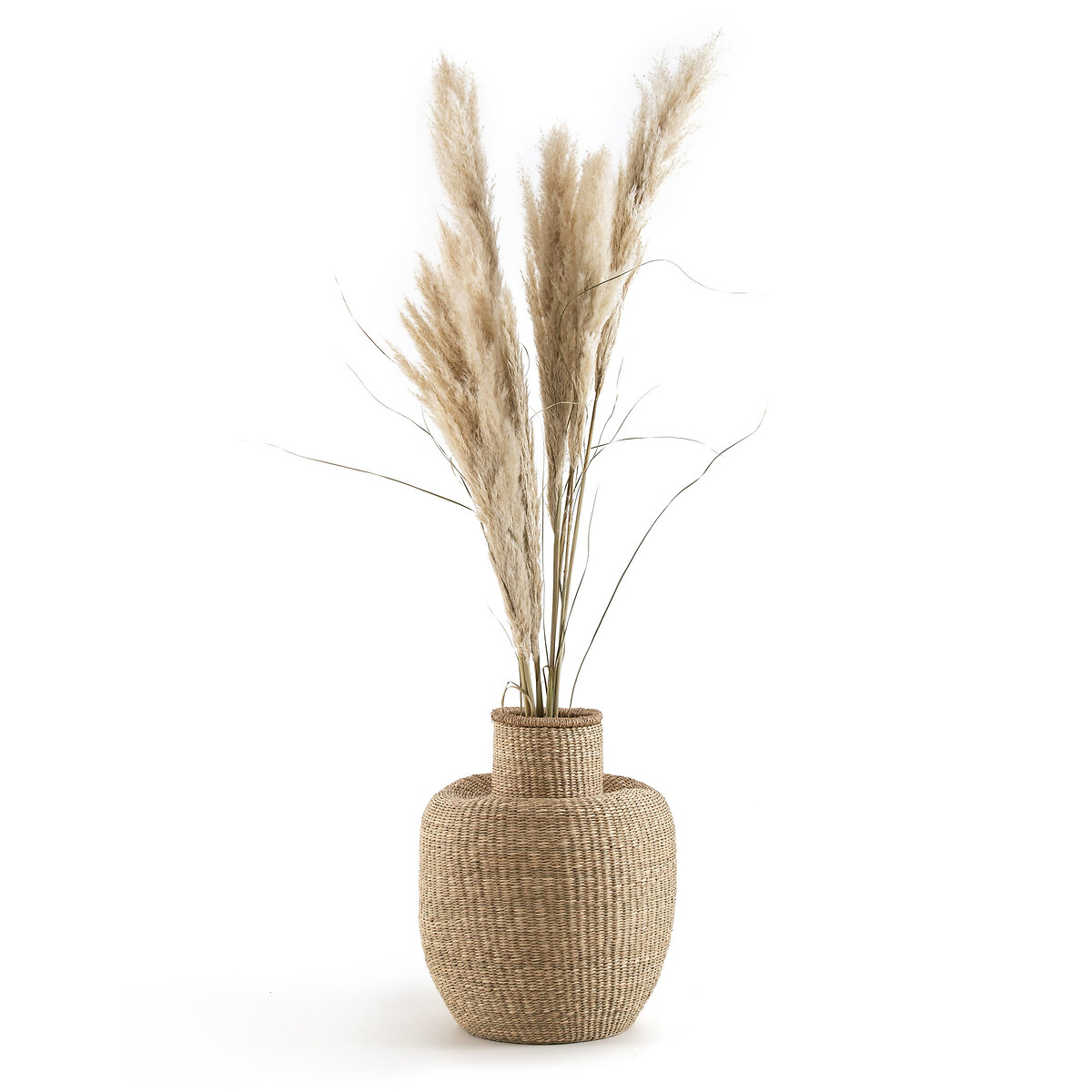 LA REDOUTE INTERIEURS<br>Jarra decorativa em herbário H53 cm, Maylon
