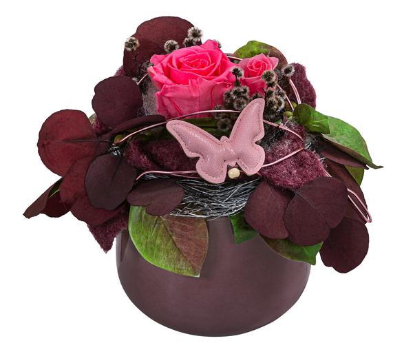Dehner Keramik-Schale mit Longlife-Rose