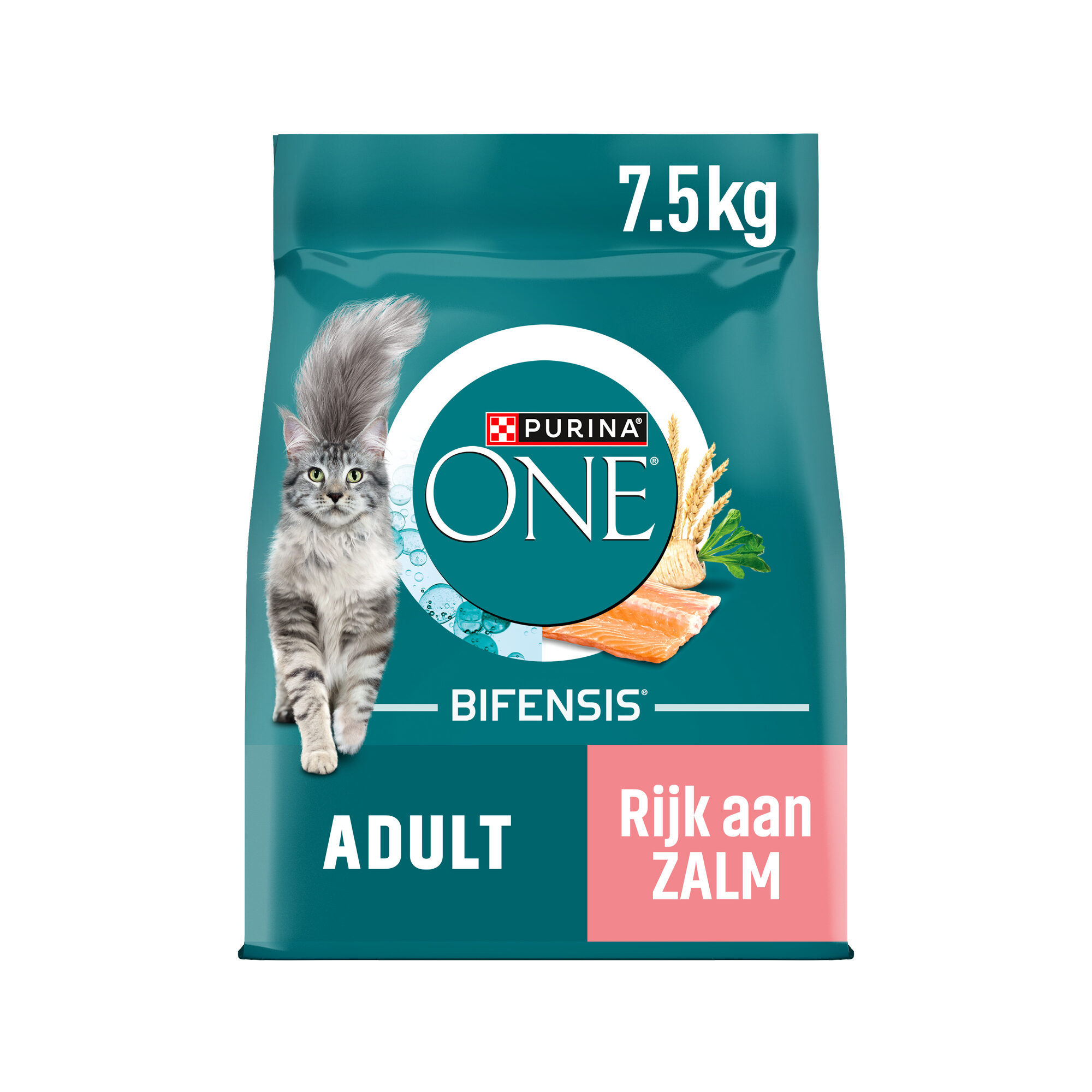 Purina ONE Adult