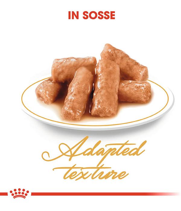 ROYAL CANIN® Nassfutter für Katzen British