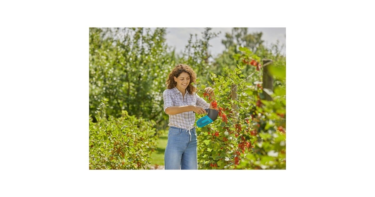 GARDENACombisystem Bessenplukker set fruitplukker  (Zwart/turquoise, Incl. telescoopsteel)
