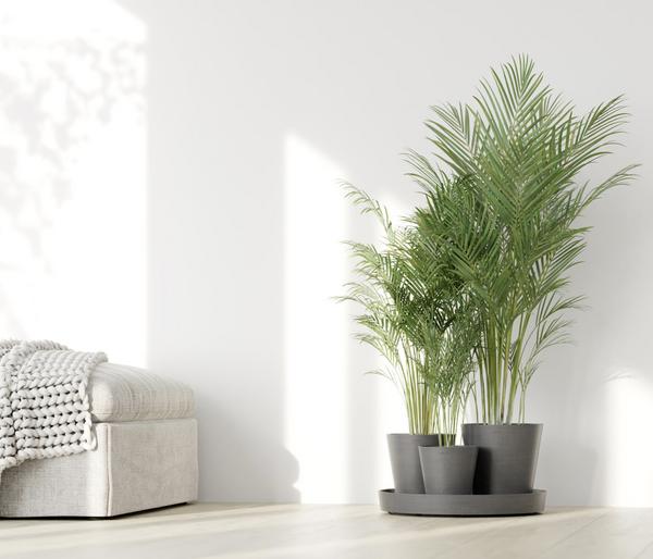 Ecopots Kunststoff-Topf-Set Dubai mit