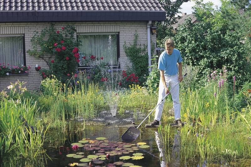 Oase Algenschepnet klein Vijvers/Zwembaden
