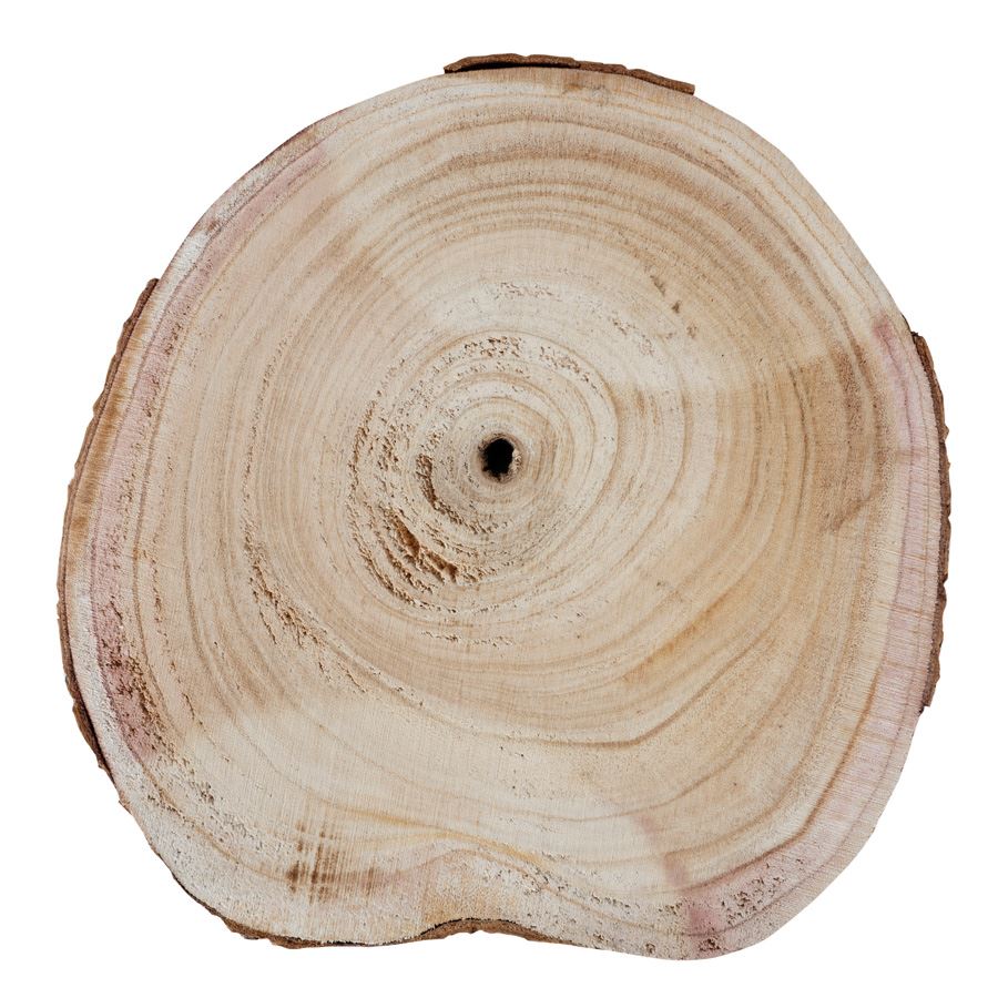 Baumstammscheibe 26x3cm