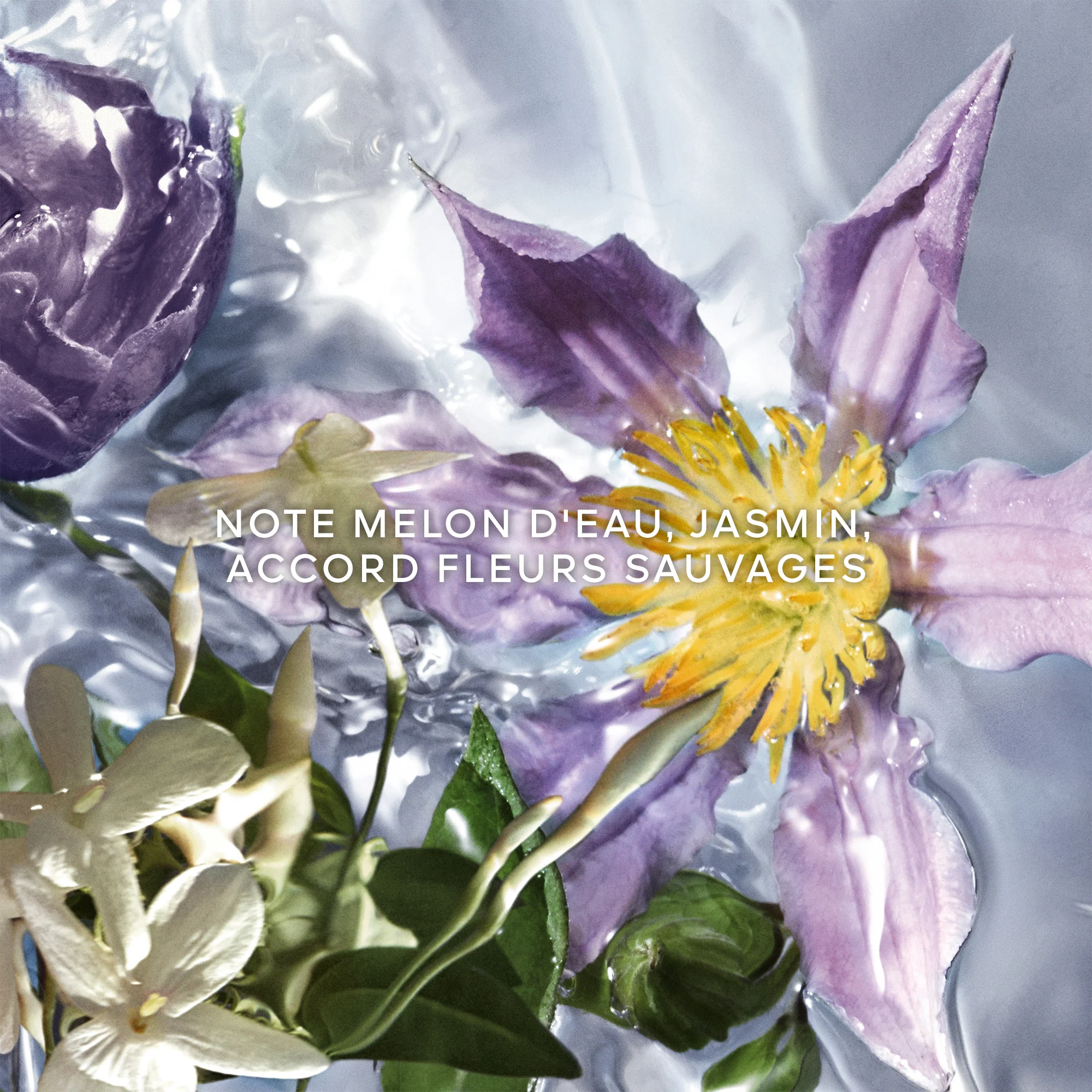 Aqua Allegoria Flora Salvaggia |