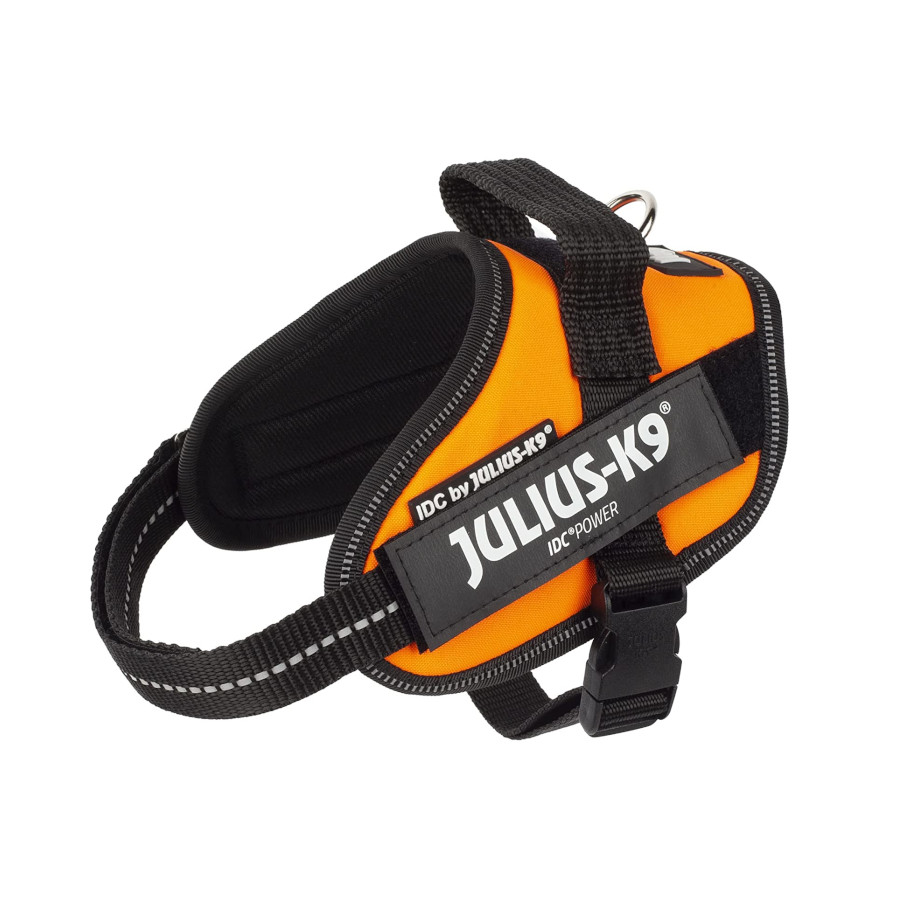 Coleira para cães Julius K9 IDC Power Orange