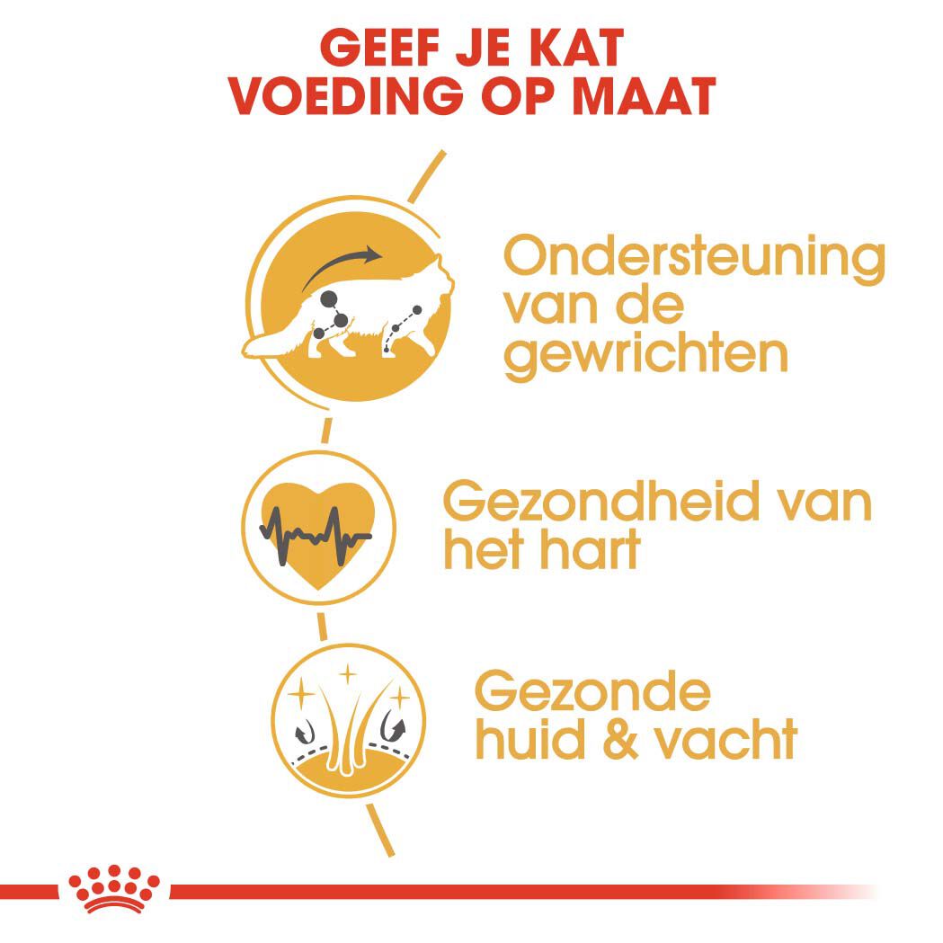 Royal Canin Maine Coon Adult - Kattenvoer - 2 Kilogram - Gevogelte