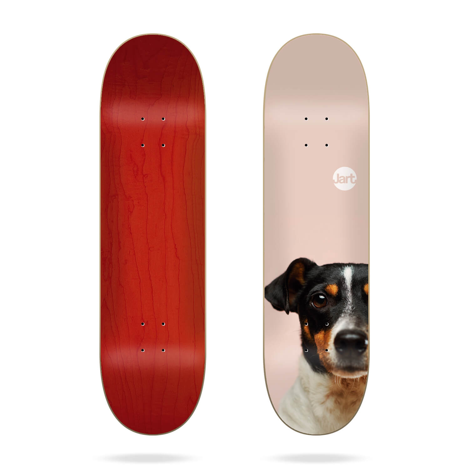 Jart Friends LC Jart Deck 8.125