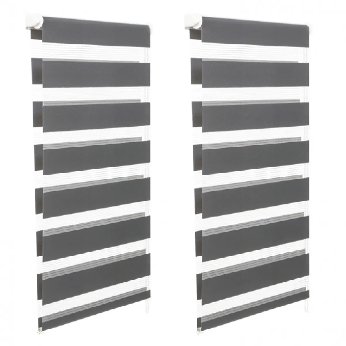 Idmarket Market Lot de 2 stores zébrés jour nuit 45 x 170 cm Gris