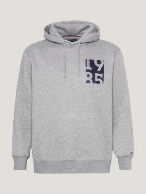 Moletom com capuz e estampa do logo Plus