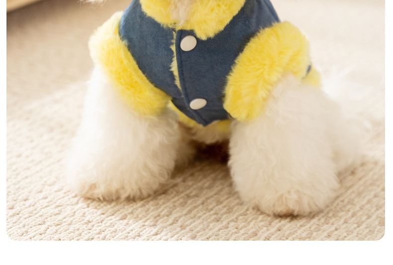 Cissilli - Fleece gevoerde top met lettersapplicatuur