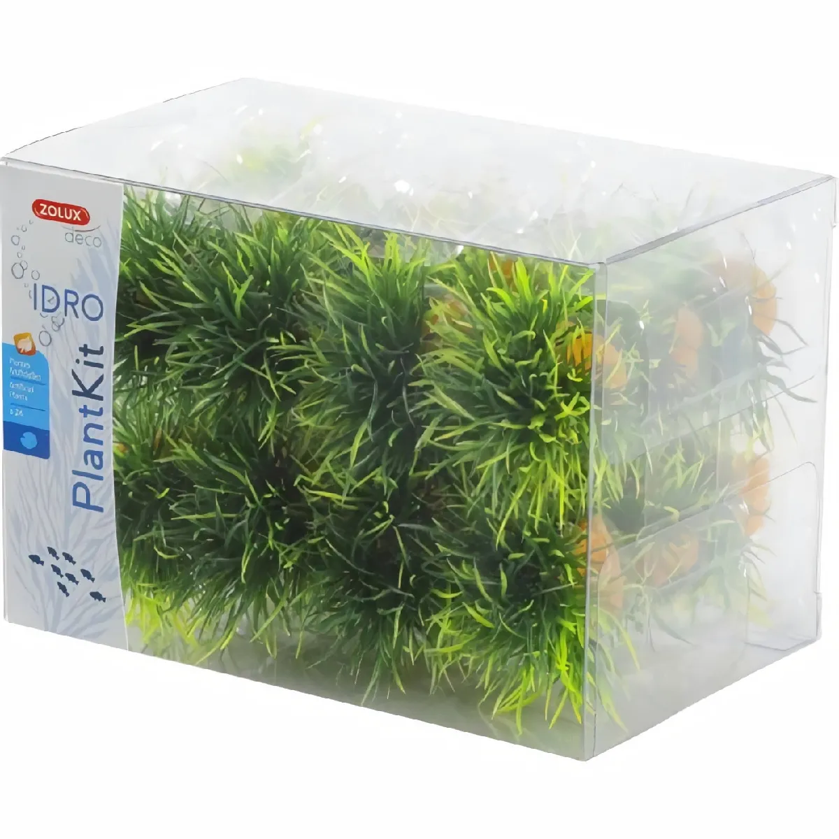 Zolux Kit Plantes Gazonnantes Idro