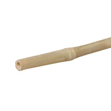 Bindingfix bamboestok 300cm