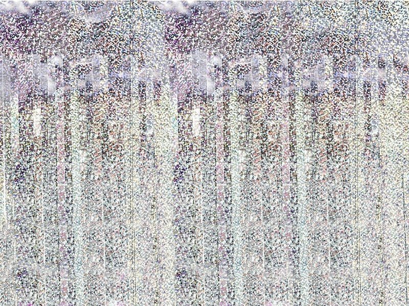 Zilveren Deurgordijn Holografisch 2,5m