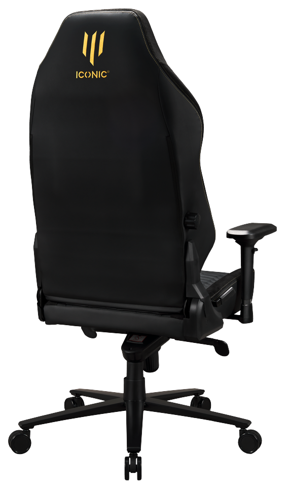Apollon Classic / Gold Top Black seat + Gold logo