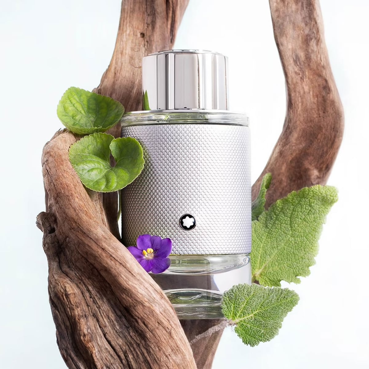 Montblanc Explorer Platinum Montblanc Explorer Platinum Eau de Parfum