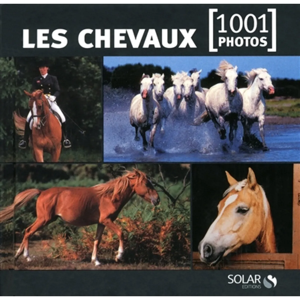 Les chevaux · Occasion