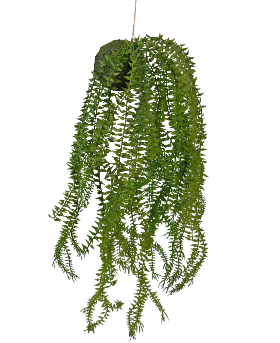 Kunsthangplant Phlegmariurus bol 50 cm