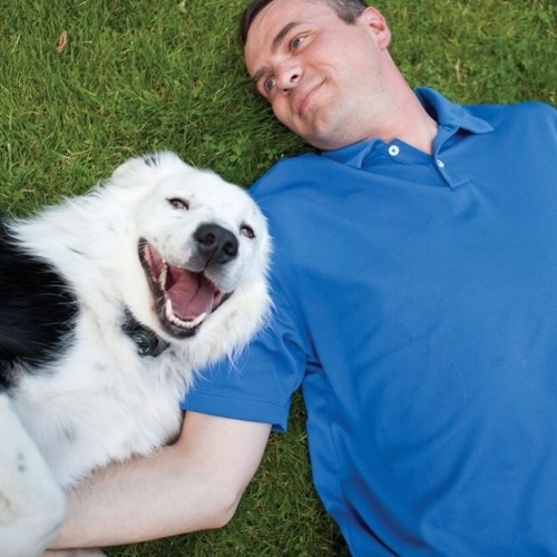 Coleira de contenção para animais de estimação, preta e vermelha.