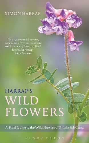 Harrap's Wild Flowers - Bloomsbury Naturalist (Paperback)
