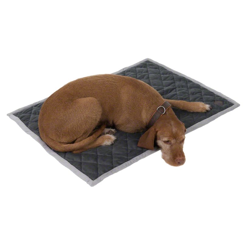 Couverture Velvet pour chien et chat