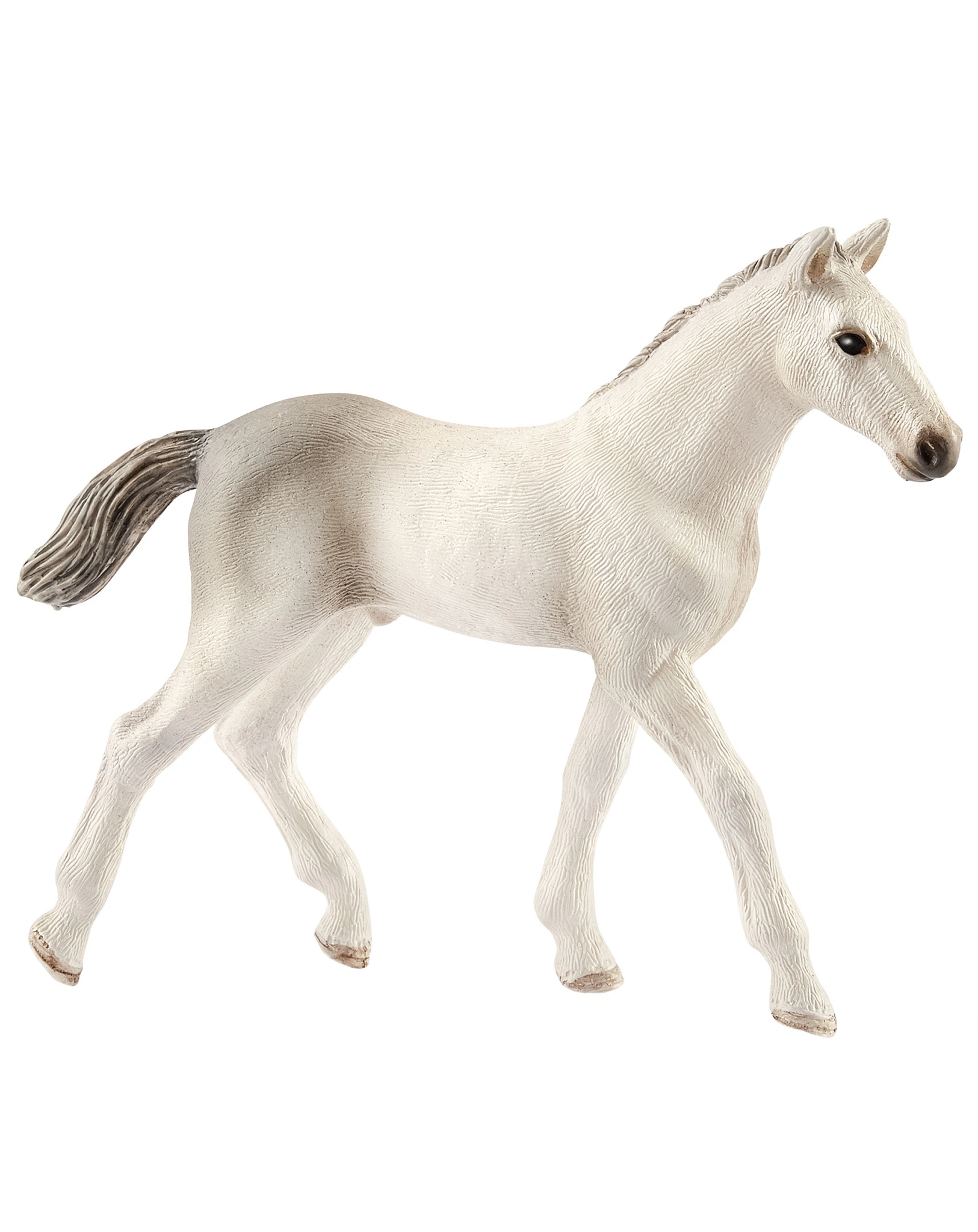 schleich® 13860 Horse Club – Holsteiner Fohlen