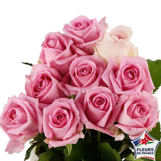 Botte 10 Roses ''Fleurs de France'' H.50cm coloris variables