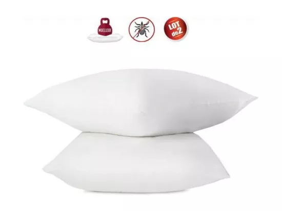 Lot de 2 oreillers anti-acariens - 60 x 60 cm - 100% coton traite Bio - ABEIL