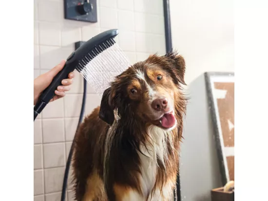 Pommeau de douche pour chien HANSGROHE DogShower 3 jets Noir
