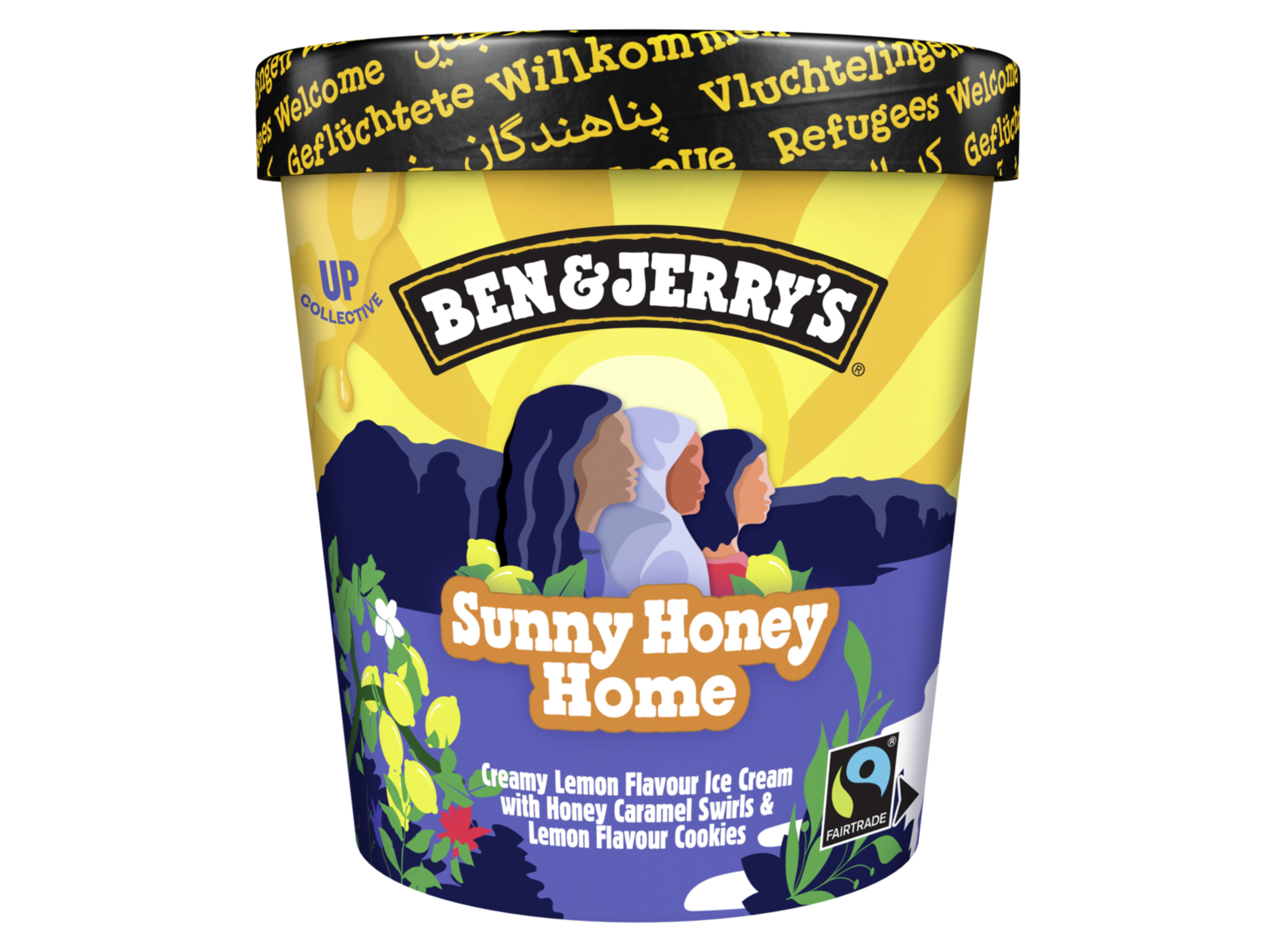 GELADO BEN & JERRY'S SUNNY HONEY HOME 465ML
