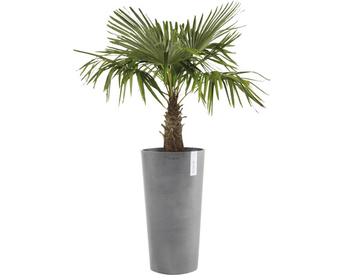 Ecopots Amsterdam plantenbak, kunststof, Ø 34 cm, H 66 cm, grijs