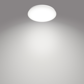 Philips plafondlamp Moire 1x17W 4000K wit