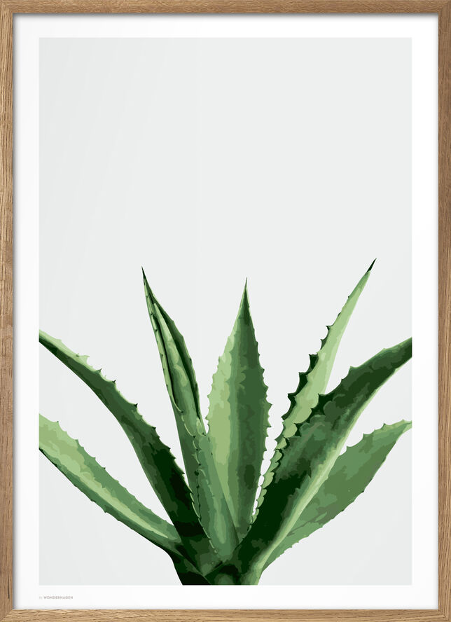 Poster & Frame Wonderhagen - Agave plakat Grøn