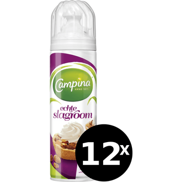 Campina Echte Slagroom 12 x 250g