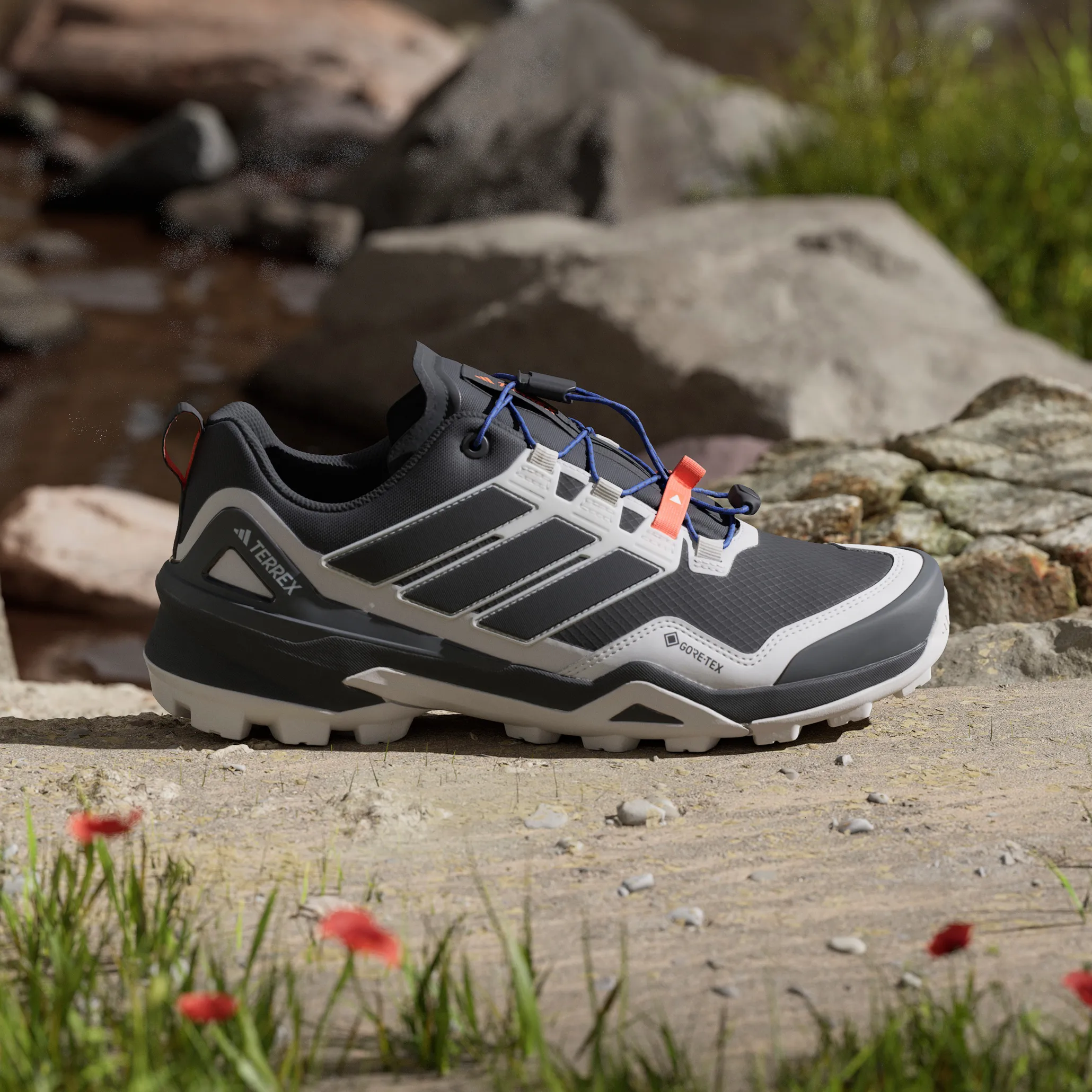 Adidas Men's Terrex Skychaser Gore-Tex Core Black/Core Black/Greone