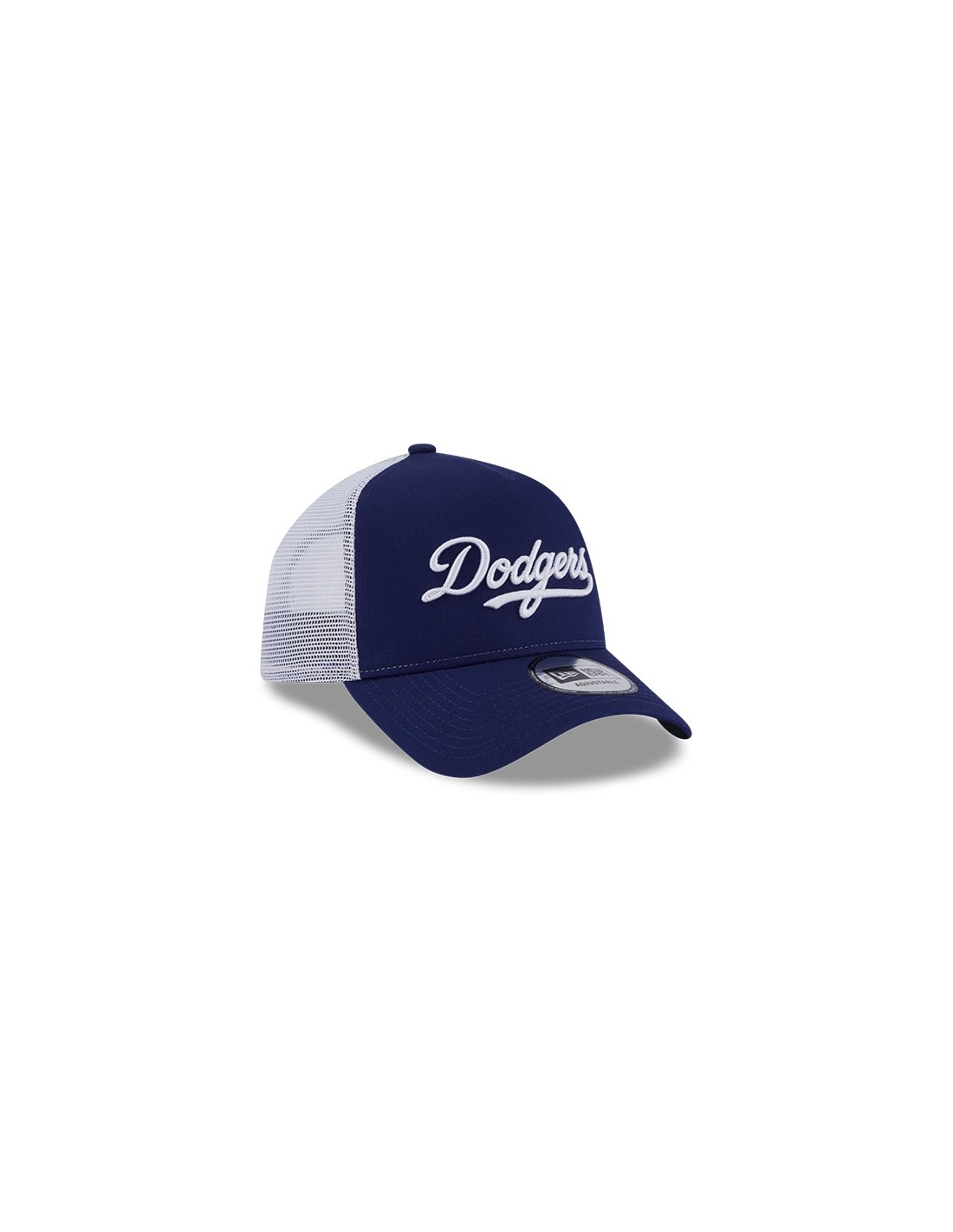 new era team script trucker losdod drywhi