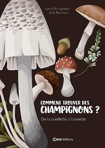 COMMENT TROUVER DES CHAMPIGNONS