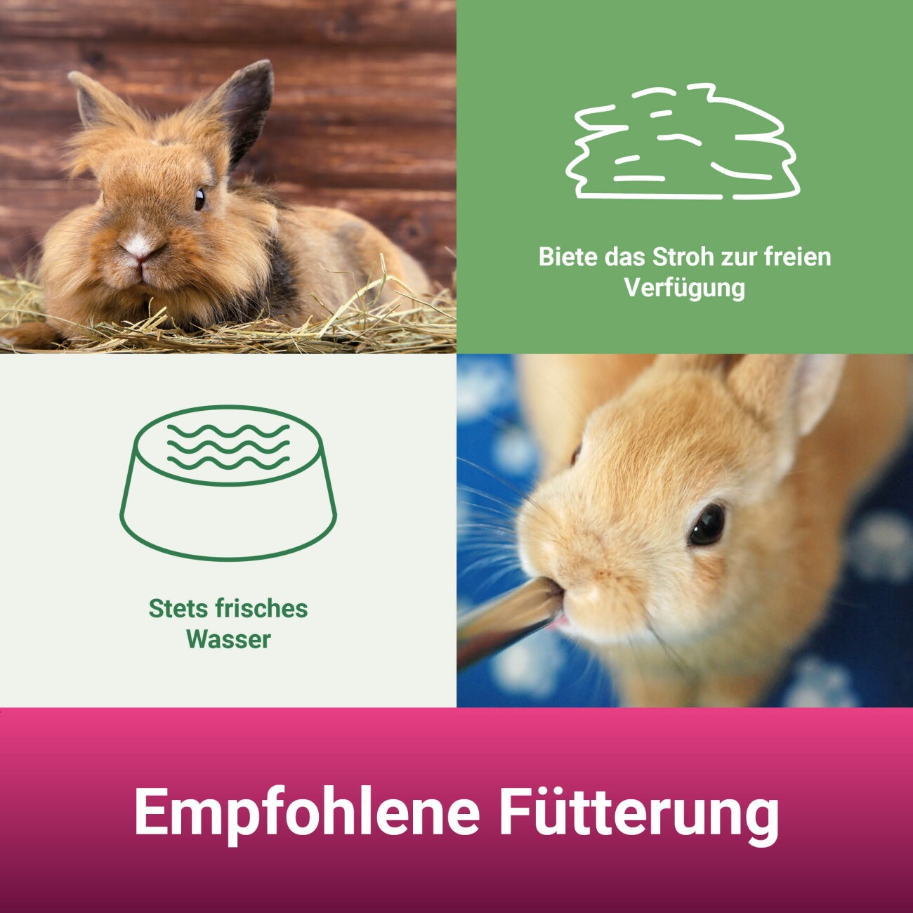 Panto ® STROH