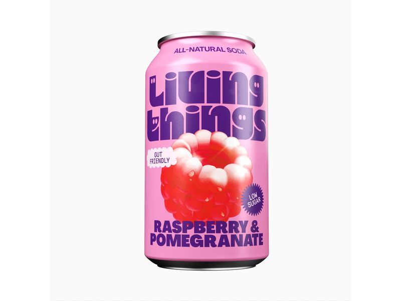 Living Things Soft-Drinks Raspberry & Pomegranate 12 x 0.33 Natürliche, leicht sprudelnde präbiotische Limonade
