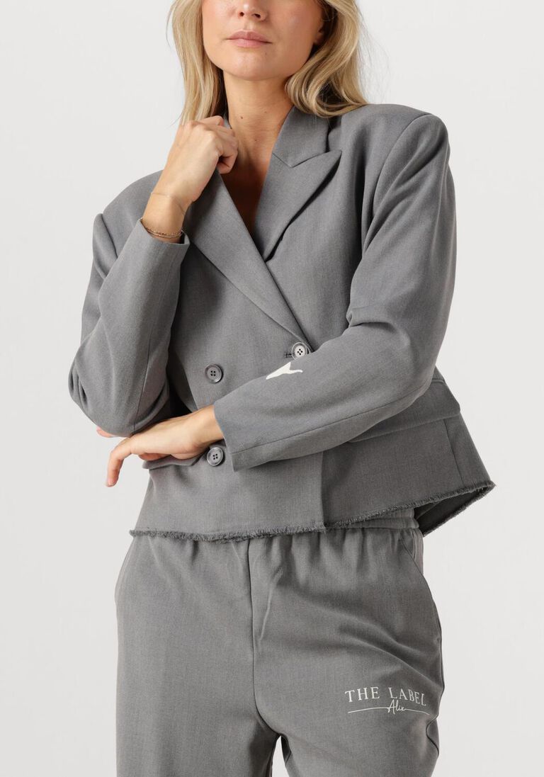 grijze alix the label blazer double breasted blazer