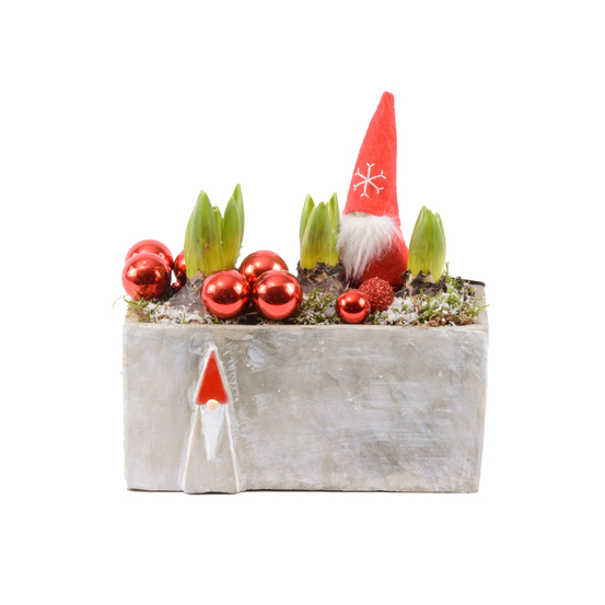 Jacinthe X3 déco Lutin de Noël D20