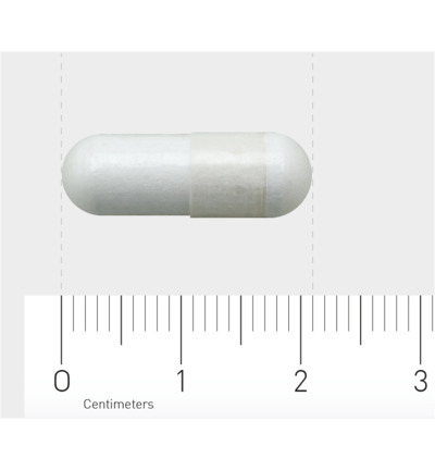 AOV 550 Calcium magnesium pidolaat (90 vega capsules)